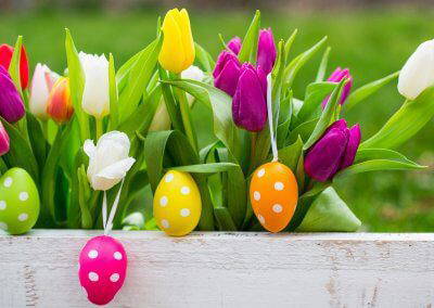 EASTER BUNNY HUNT