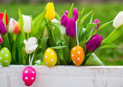 EASTER WEEKEND GARDEN ENTRY, BUNNY HUNT & PETTING ZOO