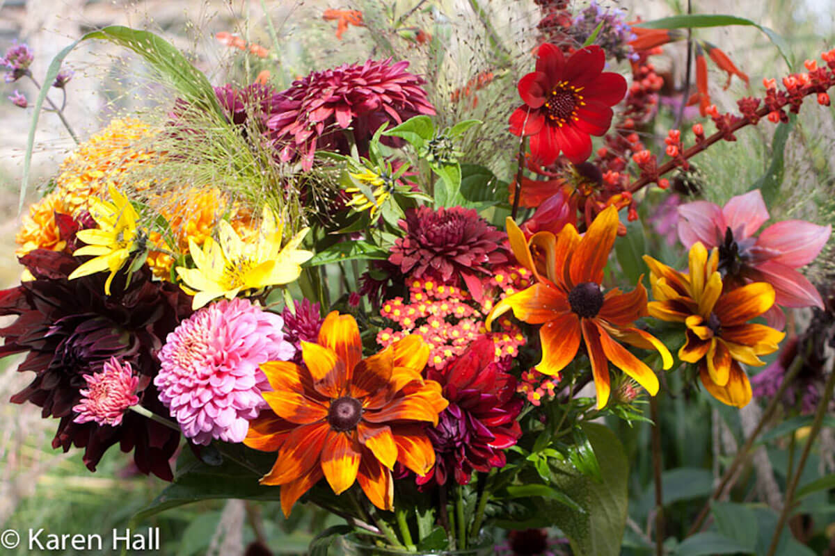 Autumn Flowers Autumn Flowers