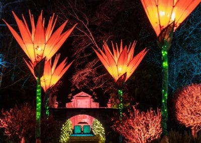 The Illuminated Garden