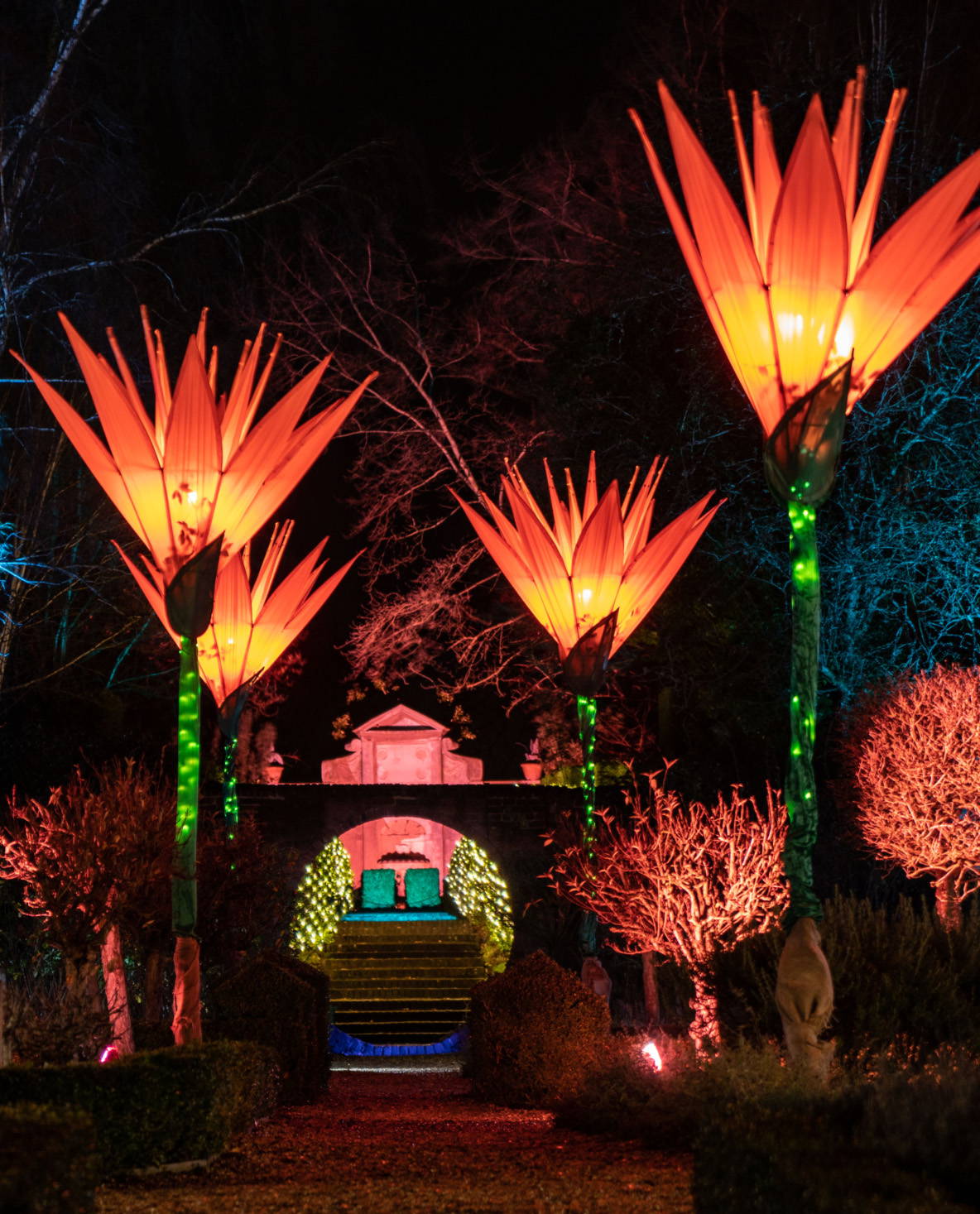 Christmas-The-Illuminated-Garden
