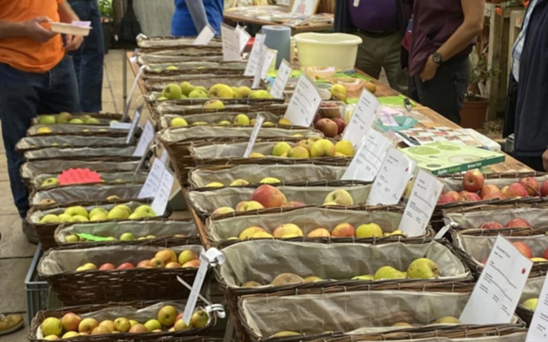 APPLE WEEKEND, THE JONNY APPLESEED TRAIL