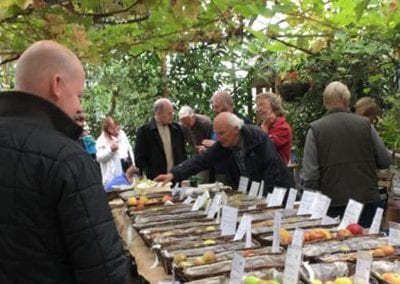 APPLE WEEKEND
