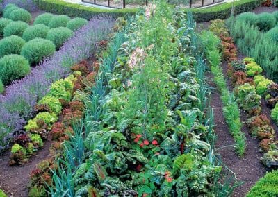 THE POTAGER