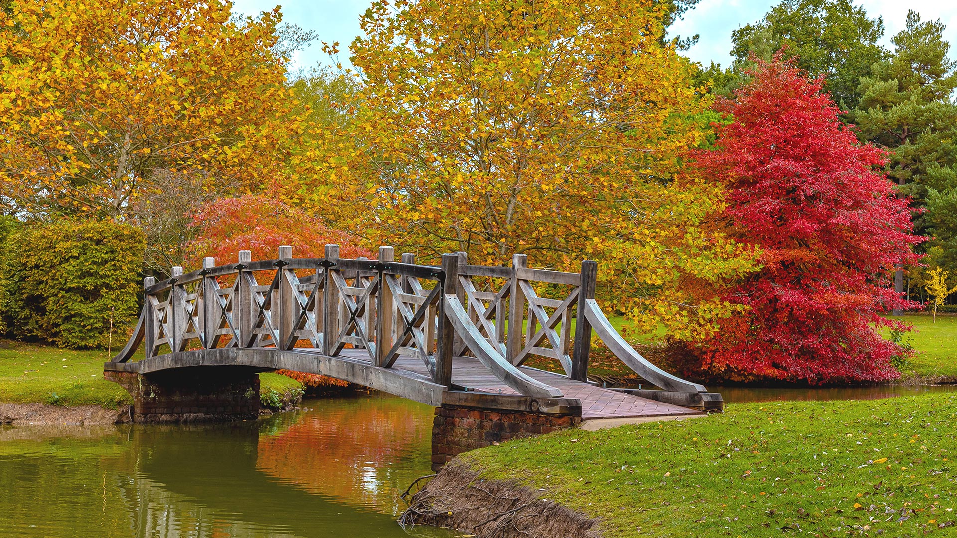 autumn-at-WGH-2020