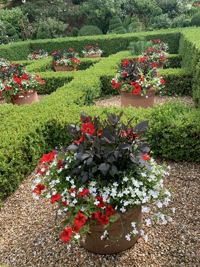summer-pots-2020