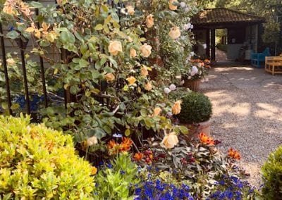 PLANTING FOR BIRDS AND BEES