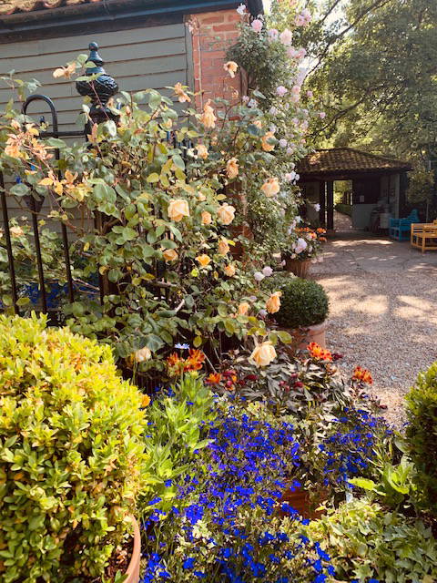 Choosing-The-Plants-2021