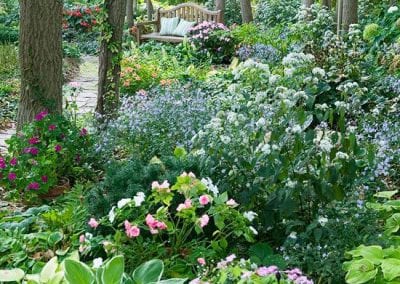 PLANTING FOR SHADE