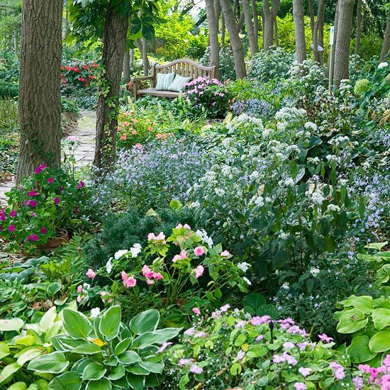 planting-for-shade-2021-new