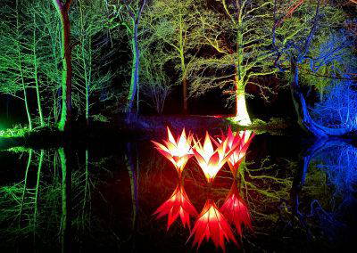 The Illuminated Garden
