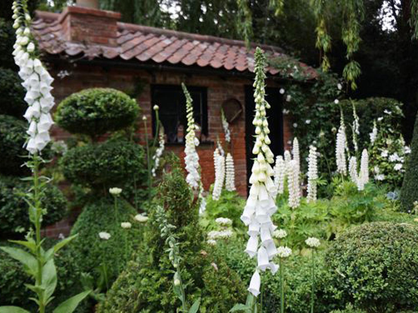 White-gardens