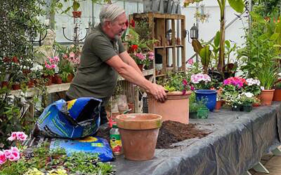 Creating Summer Pots
