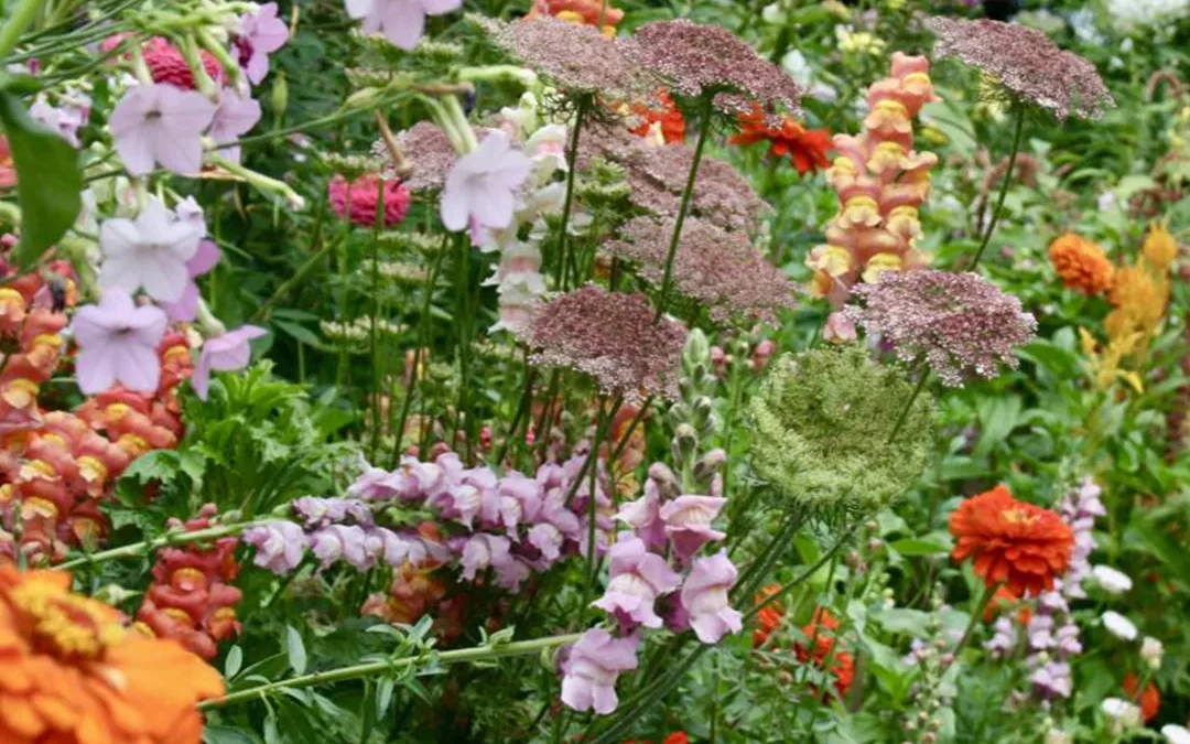 Making a Cutting Garden