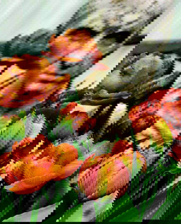 Copper Image