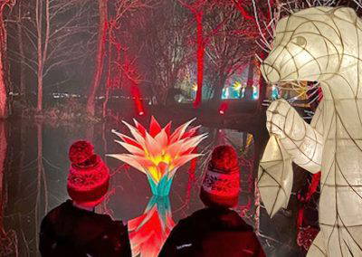 The Christmas Illuminated Garden Adventure