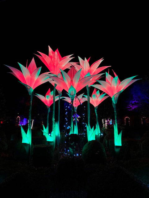 WGH-Illuminated-lights-01